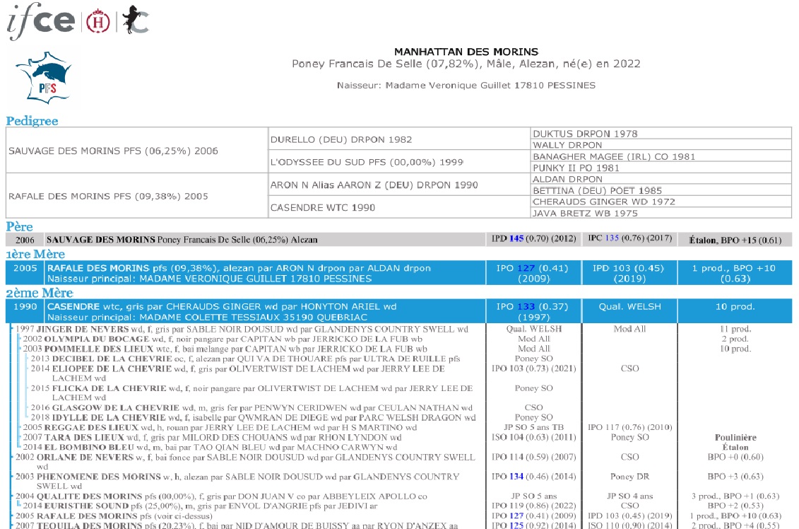 fiche de synthèse IFCE : origines et résultats complets de la famille de Manhattan des Morins