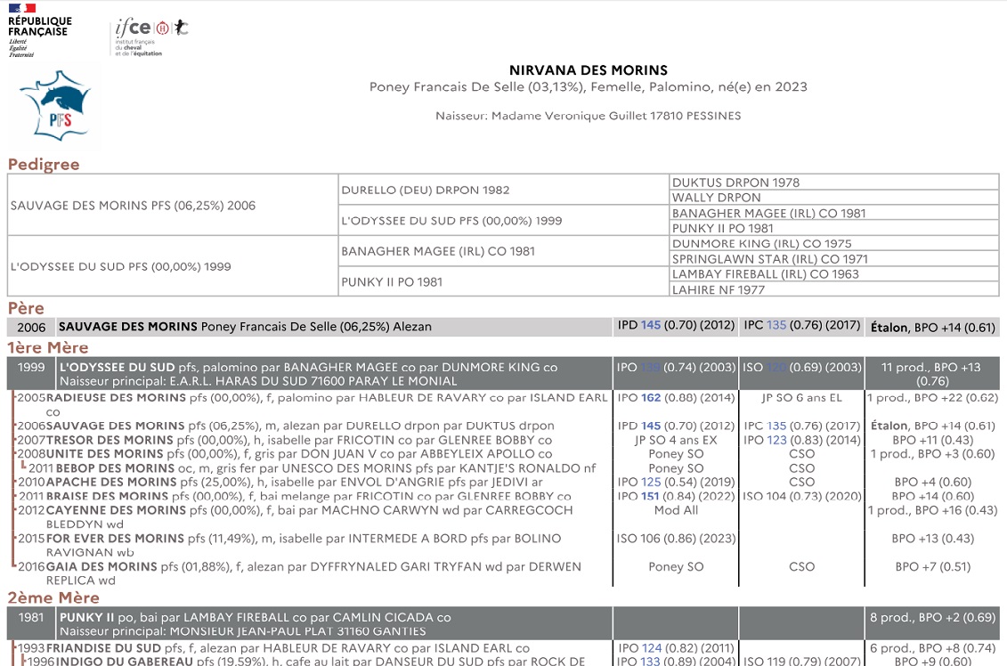 fiche de synthèse IFCE : origines et résultats complets de la famille de Nirvana des Morins