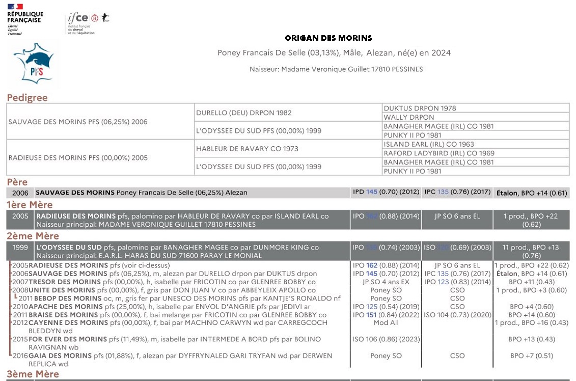 fiche de synthèse IFCE : origines et résultats complets de la famille de Origan des Morins