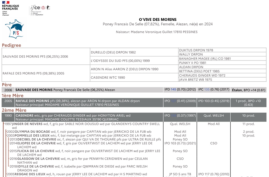 fiche de synthèse IFCE : origines et résultats complets de la famille de O'Vive des Morins