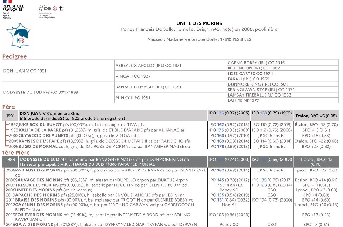 fiche de synthèse IFCE : origines et résultats complets de la famille de Unité des Morins