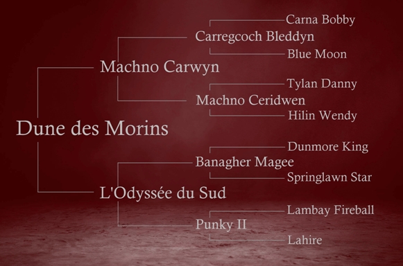 origines de Dune des Morins, par Machno Carwun et L'Odyssée du Sud par Banagher Magee