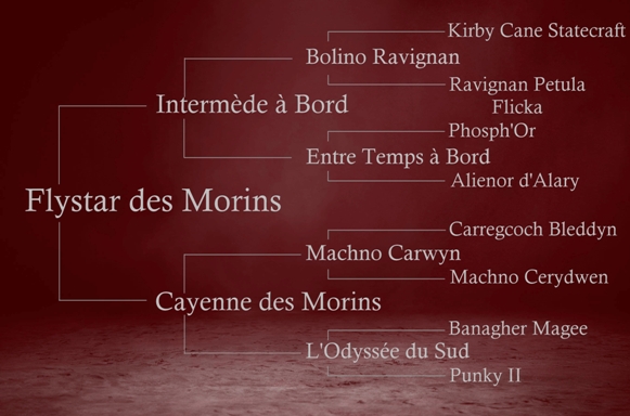 origines de Flystar des Morins, par Intermède à Bord et Cayenne de Morins par Machno Carwyn